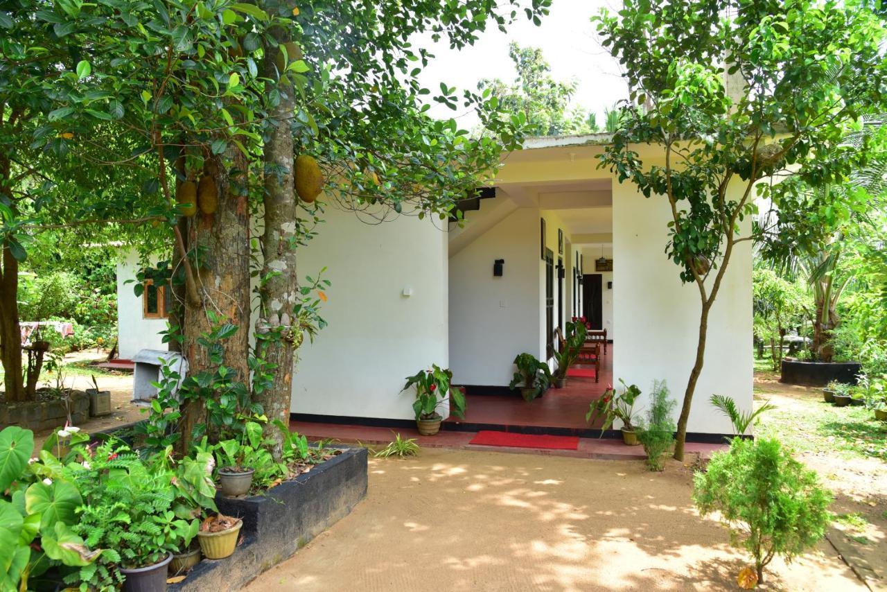 Smashing Inn Dambulla Ngoại thất bức ảnh